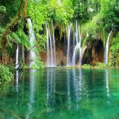 مهدیار فکر کردی تو سالنی خودتم وکیل بندی